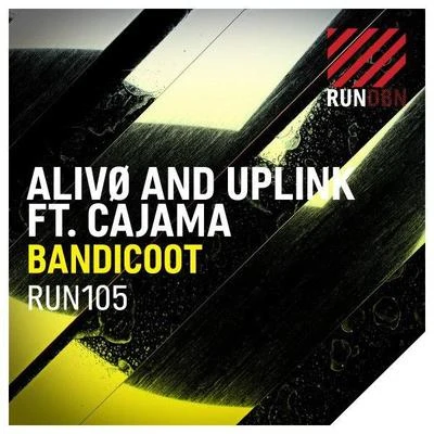 AlivoUplink Bandicoot