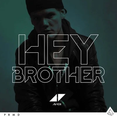 AviciiMYNC, Harry Choo Choo Romero & Jose Nunez Hey Brother (Remixes)