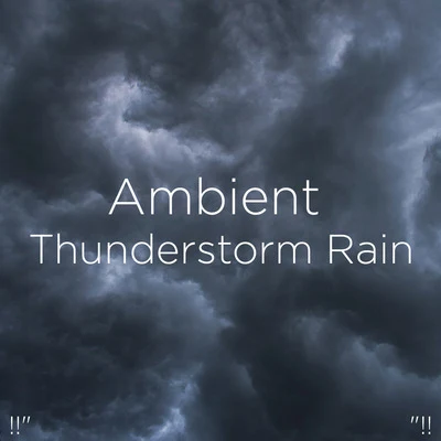 !!" Ambient Thunderstorm Rain "!! 专辑 Thunderstorm Sleep/Deep Rain Sampling/Smart Baby Lullaby