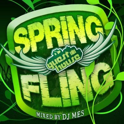 Spring Fling Mixed By DJ Mes 專輯 DJ Mes