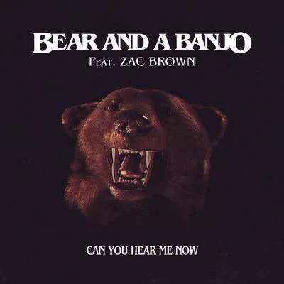 Can You Hear Me Now (Remix) 专辑 Zac Brown/Camden Levine/Avicii