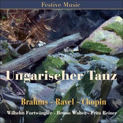 Ungarischer Tanz 專輯 Wilhelm Furtwängler