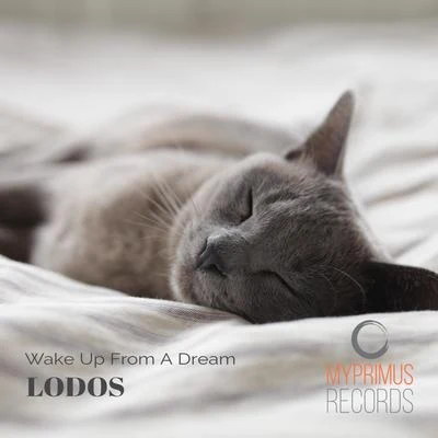 Wake Up From a Dream 專輯 Lodos/Ian Urbina