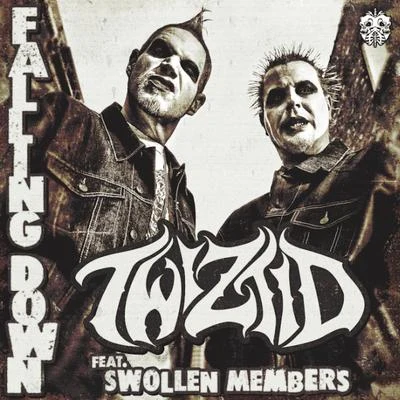 Falling Down (feat. Swollen Members) 专辑 Twiztid