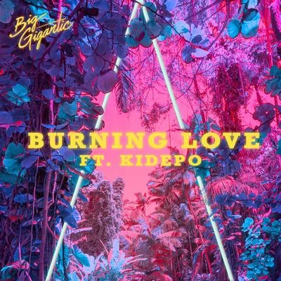 Burning Love 专辑 Big Gigantic