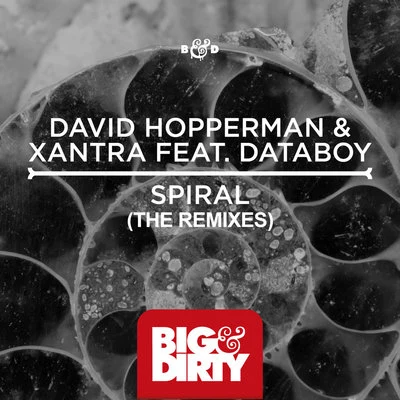 XantraDavid HoppermanDATABOY Spiral (The Remixes)