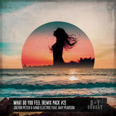 What Do You Feel (feat. Amy Pearson) [Remix Pack #2] 專輯 Kid Creme/Jolyon Petch/Sian Evans