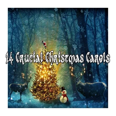 14 Crucial Christmas Carols 專輯 Christmas Songs/Christmas Hits/Christmas Favourites