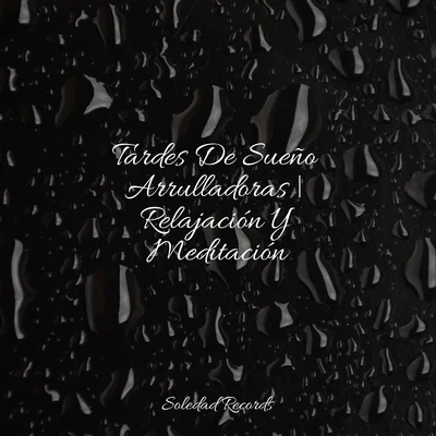 Dormir e MeditarMúsica para NiñosMeditação Zen Tardes De Sueño Arrulladoras | Relajación Y Meditación