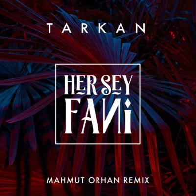 Her Şey Fani (Mahmut Orhan Remix) 專輯 Aytac Kart/Mahmut Orhan