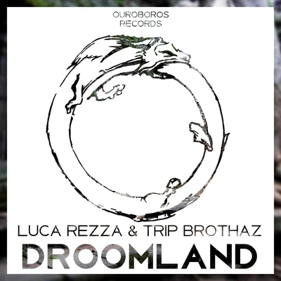 Droomland 專輯 Luca Rezza