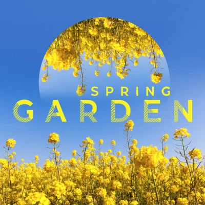 Spring Garden: Music of Nature for Relax and Feel Amazing 专辑 Academy of Powerful Music with Positive Energy