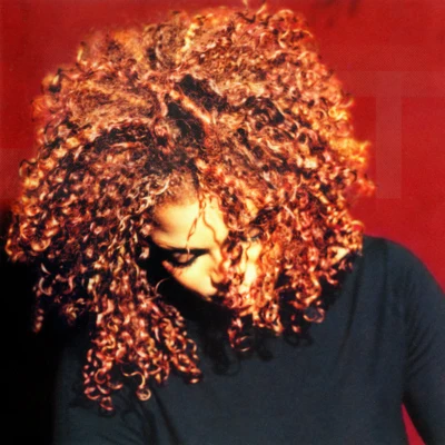 The Velvet Rope 專輯 Janet Jackson/Wideboys