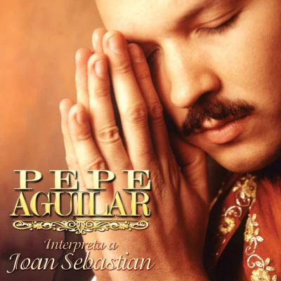 Pepe Aguilar Interpreta a Joan Sebastian 专辑 Mariel Mariel/Jarina De Marco/Pepe Aguilar/Kinky/Adrian Dargelos