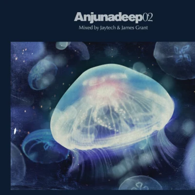 Hydroform Anjunadeep 02: Mixed By Jaytech & James Grant