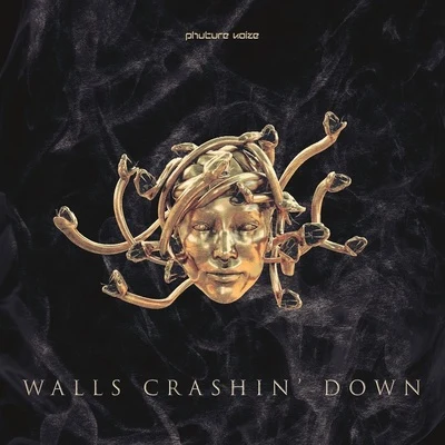 Walls Crashin’ Down 專輯 Phuture Noize