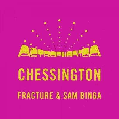 Chessington 專輯 Sam Binga/Addison Groove/Mouse on Mars/Machine Drum/Kodiak