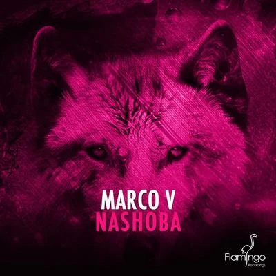 NASHOBA 專輯 Marco V/Rumors/Thomas Newson