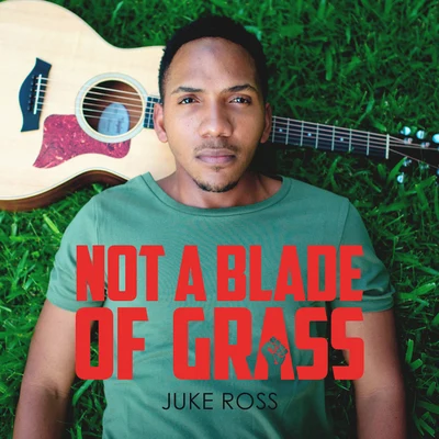 Not a Blade of Grass 专辑 Juke Ross