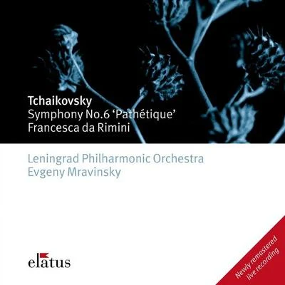 Tchaikovsky : Symphony No.6, Pathétique Francesca da Rimini - Elatus 专辑 Yevgeny Mravinsky/USSR Symphony Orchestra/Sergei Leiferkus/Tatiana Monogarova/Valery Gergiev