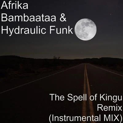 The Spell of Kingu (Remix) [Instrumental Mix] 专辑 The Soulsonic Force/Afrika Bambaataa