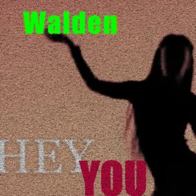 Hey You 专辑 Walden