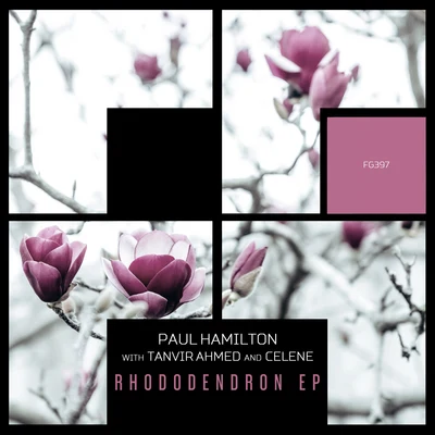 Rhododendron EP 專輯 Paul Hamilton/Abdomen Burst/Audio Mill/Julian Marazuela/MAS