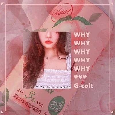 WHY 專輯 gcolt