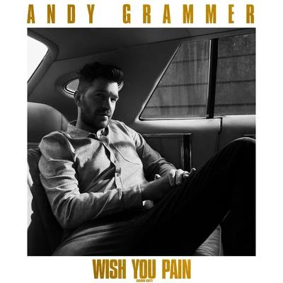 Wish You Pain (Radio Edit) 專輯 Andy Grammer