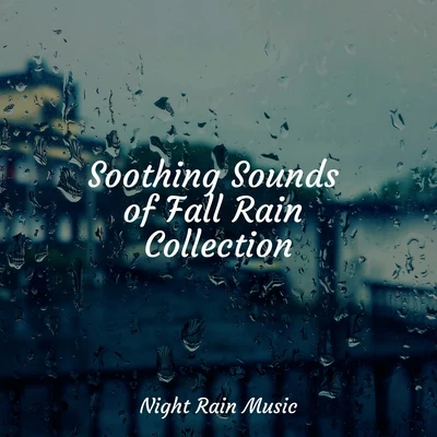 Soothing Sounds of Fall Rain Collection 专辑 Bedtime Baby/Relax Ambience