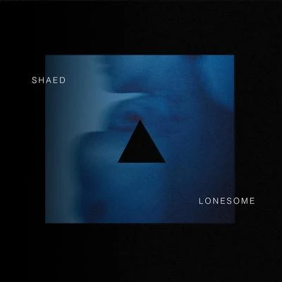 Lonesome 專輯 Shaed/Patrick Metzker/Lil Kleine/VIZE/Jonas Brothers