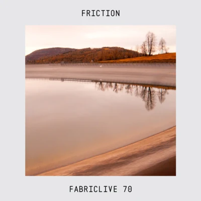 FABRICLIVE 70 專輯 Friction