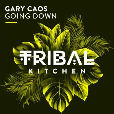 Going Down (Radio Edit) 專輯 Gary Caos