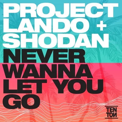 Project Lando Never Wanna Give You Up