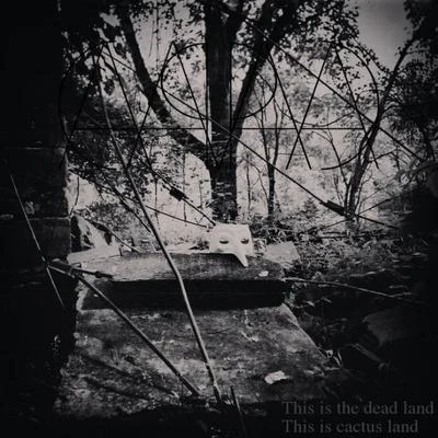 This is the Dead Land This is Cactus Land 專輯 CaPa/Gula Väggen