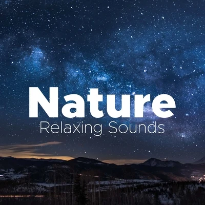 Nature - Relaxing Sounds to Soothe your Mind and Body 专辑 Villa Musica Ensemble/Classical Music Songs/Leonard Hokanson