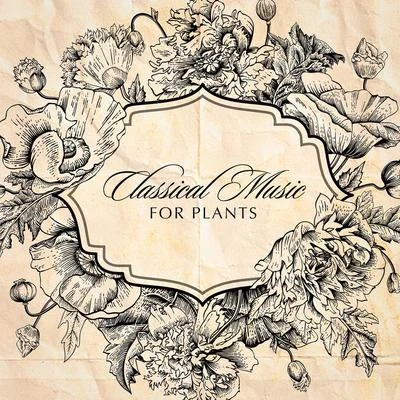 Classical Music for Plants 专辑 Villa Musica Ensemble/Classical Music Songs/Leonard Hokanson