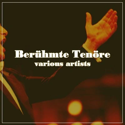 Beruhmte Tenore 專輯 Radio symphony orchestra/Géza Anda/Ferenc Fricsay/Pierre Fournier/Wolfgang Van Beethoven