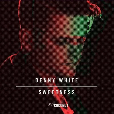 Denny WhiteFedde Le Grand Sweetness