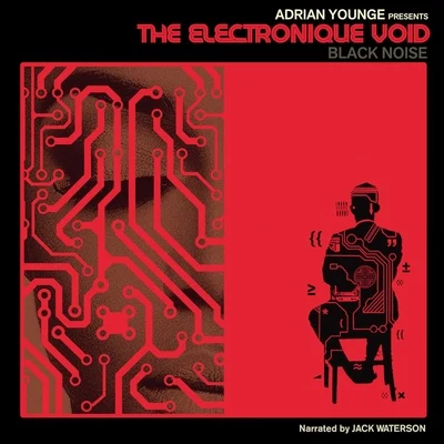 The Electronique Void 專輯 Adrian Younge/Ghostface Killah