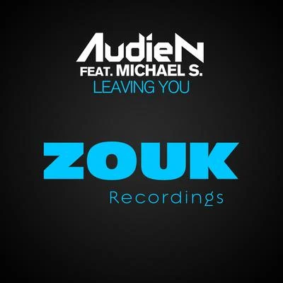 Leaving You 專輯 Audien