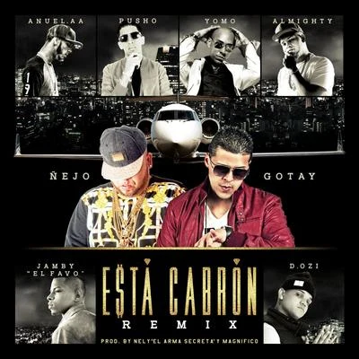 Esta Cabron (Remix) [feat. Anuel Aa, Yomo, Pusho, Almighty, D.Ozi & Jamby "El Favo"] 專輯 Randy Paris/Gotay