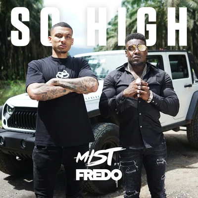 So High (feat. Fredo) 专辑 Mist