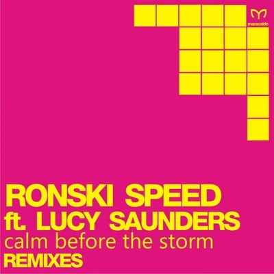 Ronski SpeedBen LostDJ T.H.Sun Decade Calm Before the Storm (Remix EP)