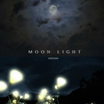 Moon Light月光 專輯 Moison