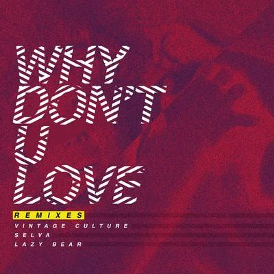 Vintage CultureJames Hype Why Dont U Love (Remixes)