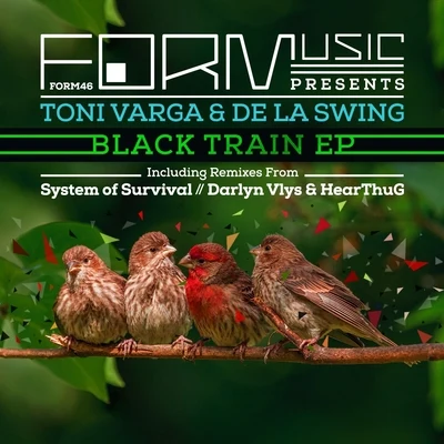 Black Train 专辑 Dani Rivas/Marciano Italy/Pascal Daze/Ellroy/De La Swing