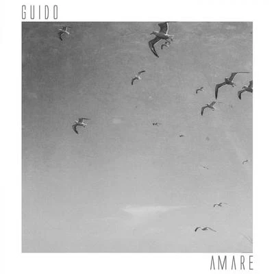 Amare 專輯 Dan K/Guido/RodMac