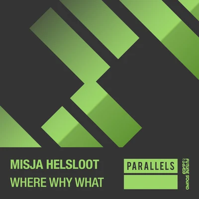 Where Why What 專輯 Misja Helsloot