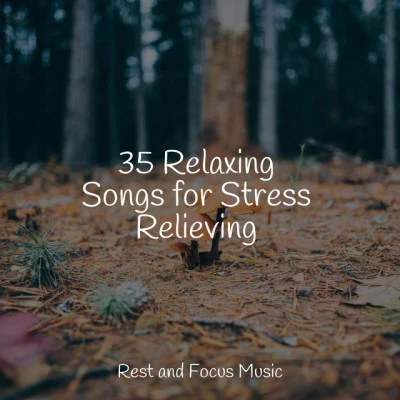 35 Relaxing Songs for Stress Relieving 專輯 Chillout Jazz Collective/Tranquil Music Sound of Nature/Peaceful Piano